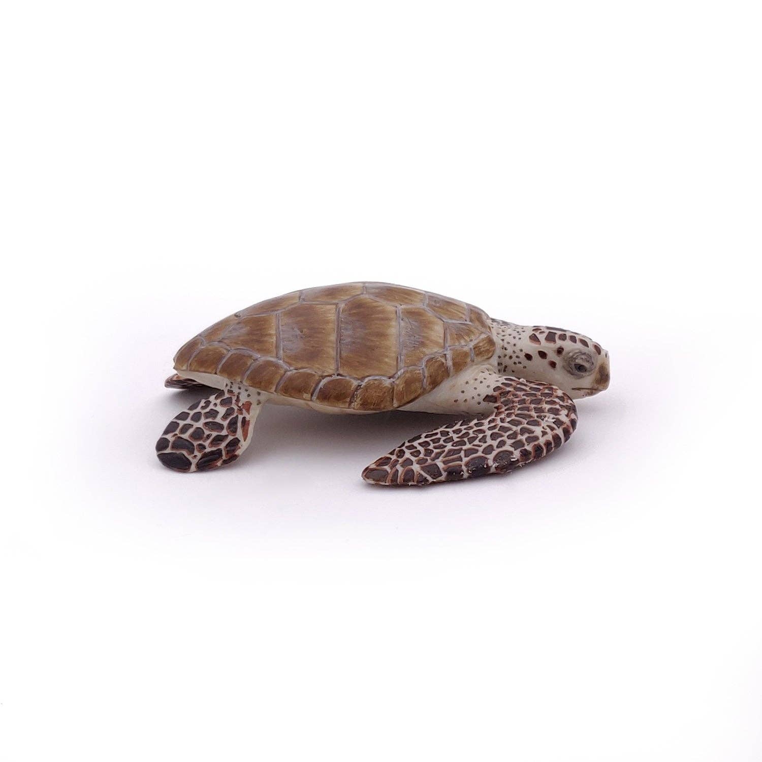 Papo Figurina Tartaruga Caretta