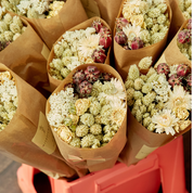 Wildflowers by Floriette Fiori secchi - Market More - Natural