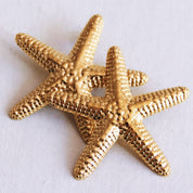 Bazou Orecchino statement 'STARFISH'