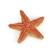 Papo Figurina Stella Marina