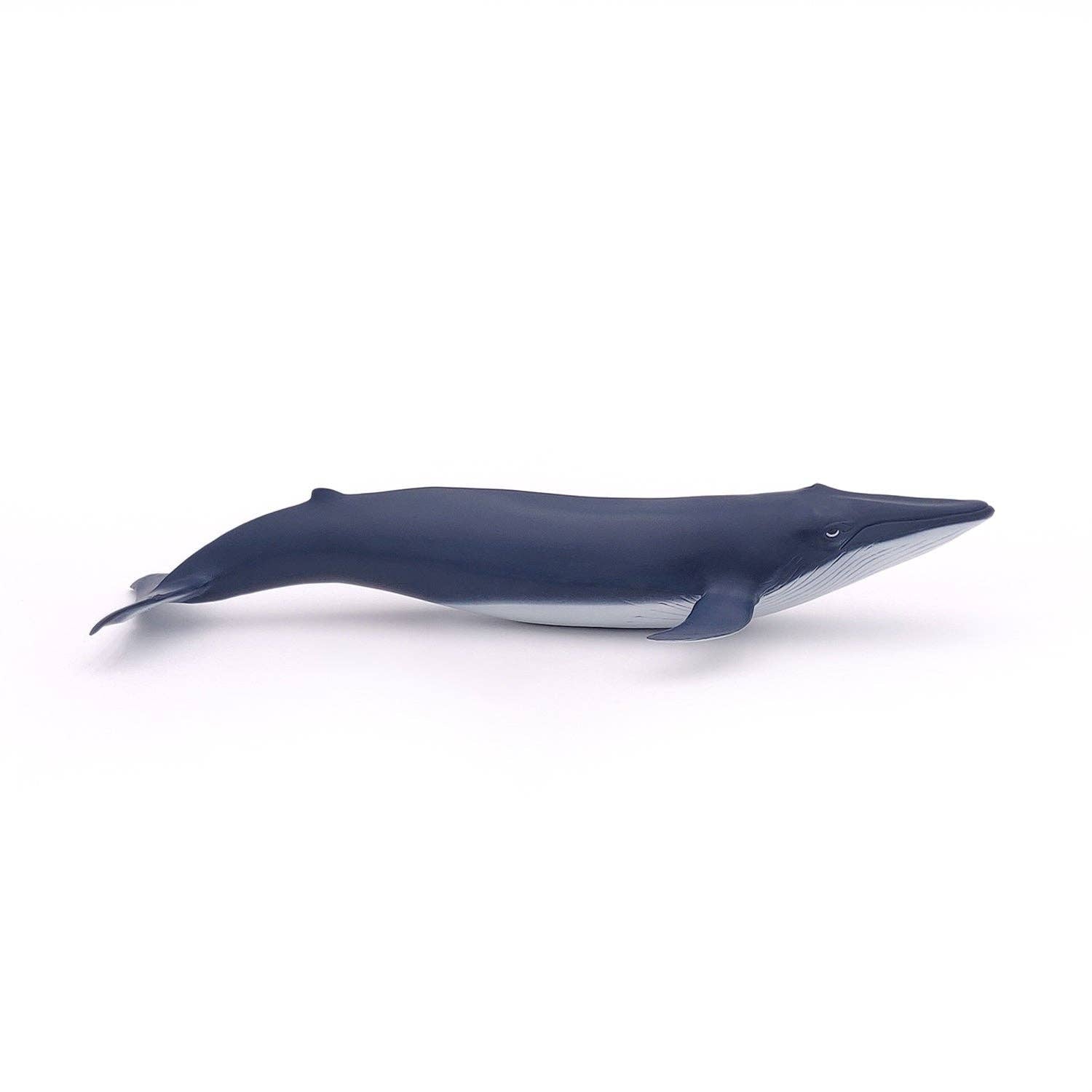 Papo Figurina di cucciolo di balena azzurra