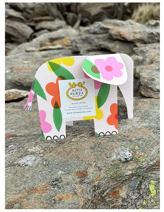 Kitty Kenda Papergoods Biglietto ecologico di lusso con elefante floreale, formato A6 : Arcobaleno