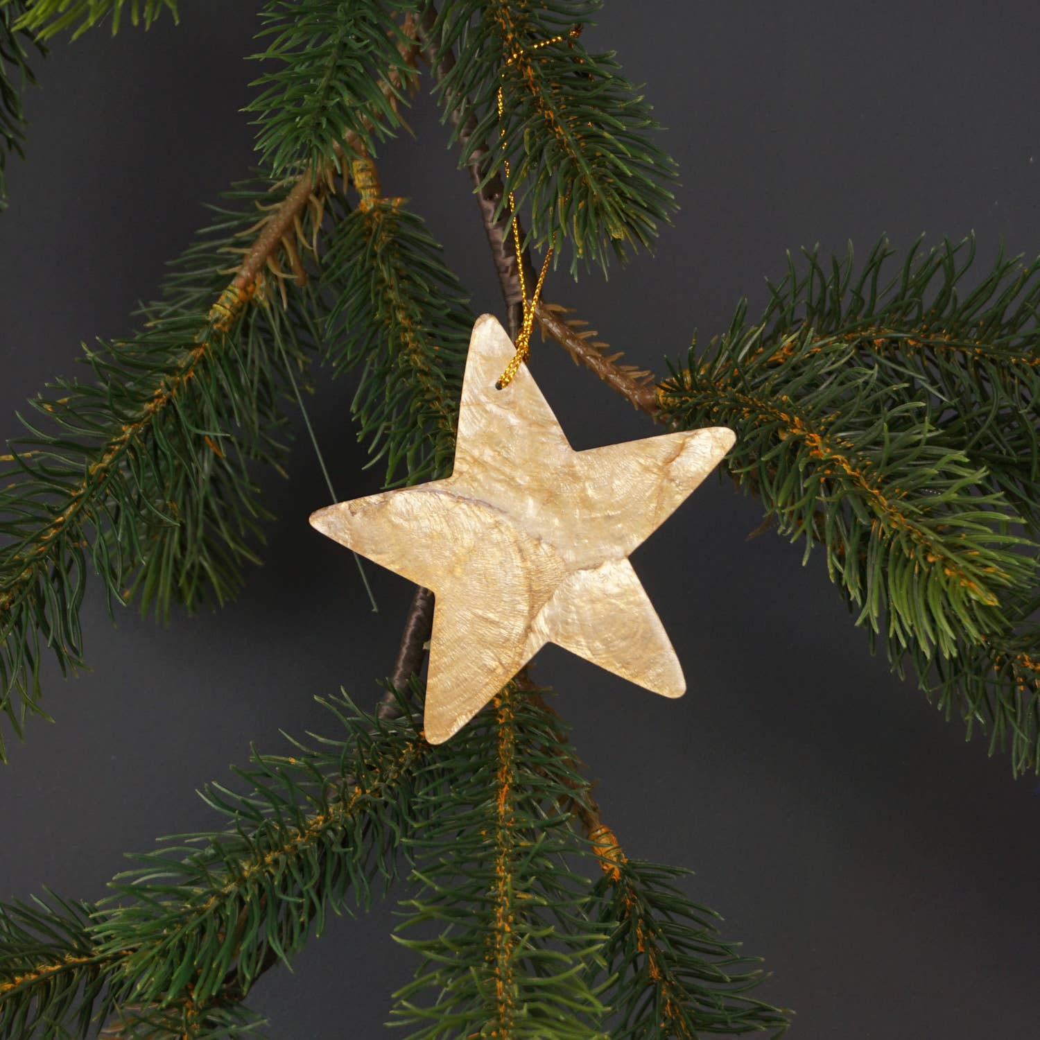 Kinta Stella cappuccio decorativa di Natale: Oro
