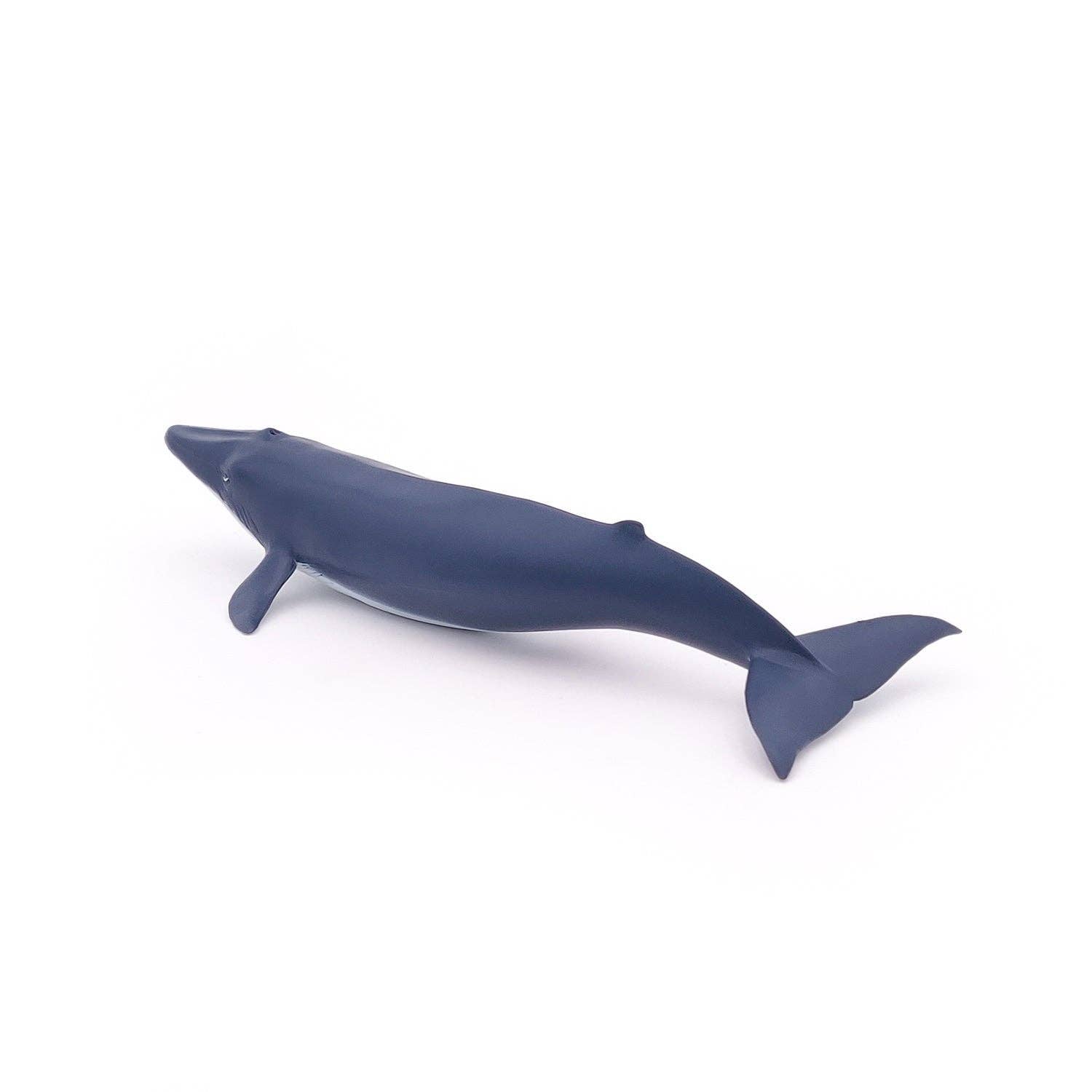Papo Figurina di cucciolo di balena azzurra