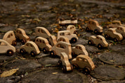 Wooden Story Sp. z o.o. Auto ecologica