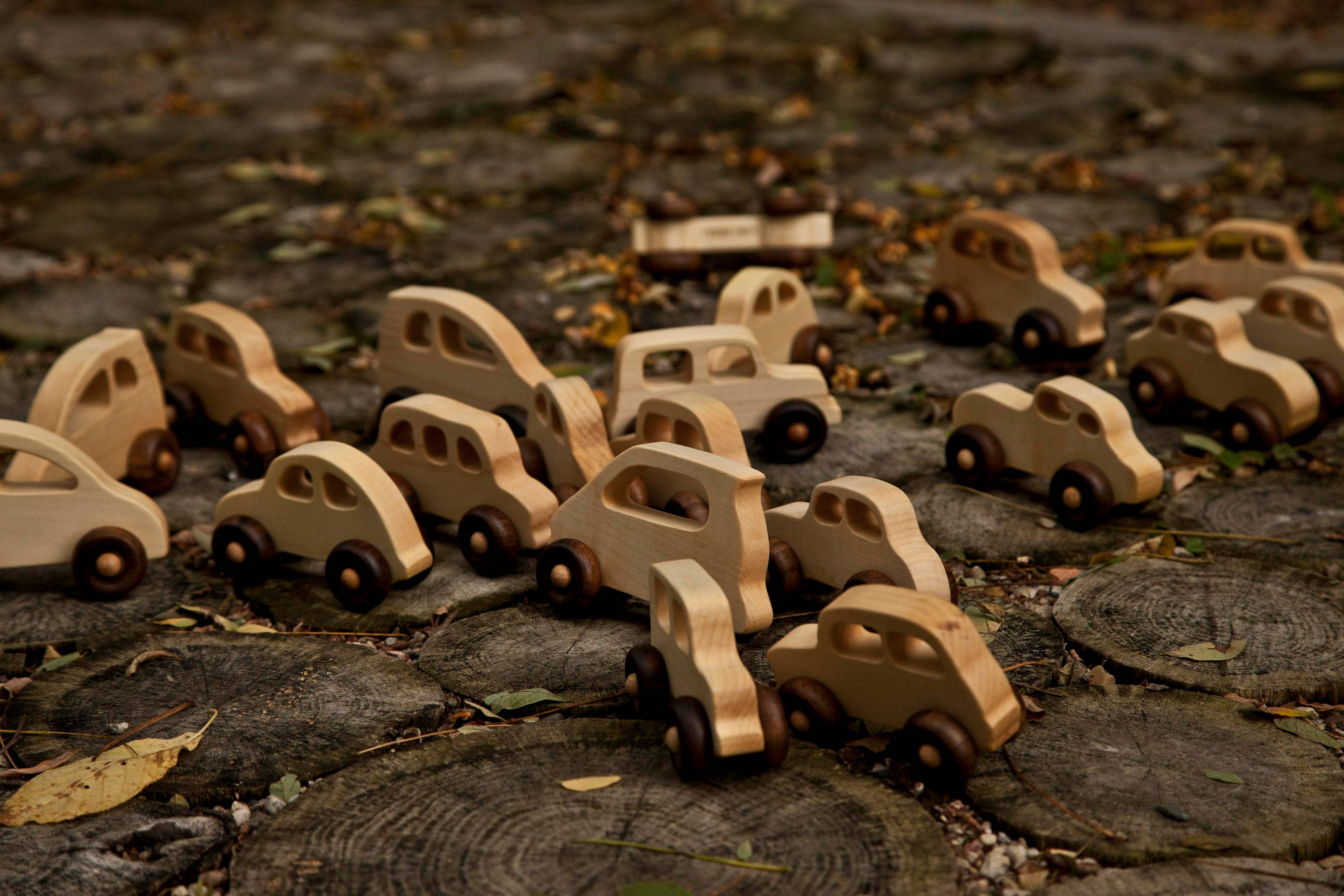 Wooden Story Sp. z o.o. Auto ecologica