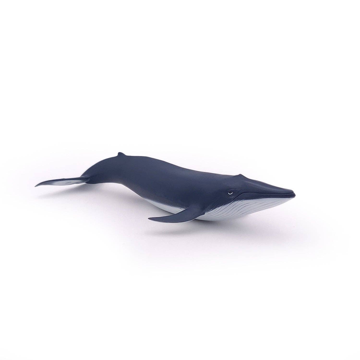 Papo Figurina di cucciolo di balena azzurra