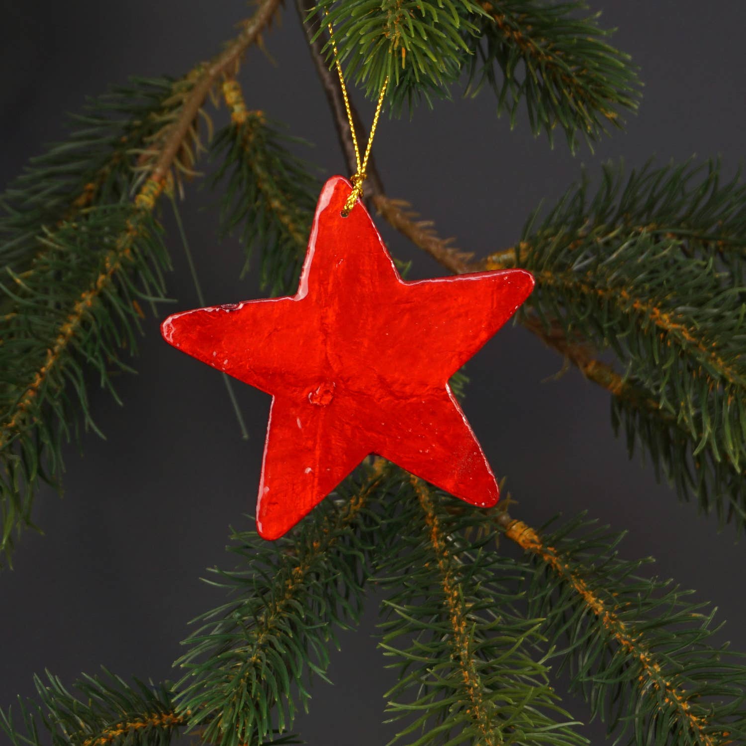 Kinta Stella cappuccio decorativa di Natale: Oro
