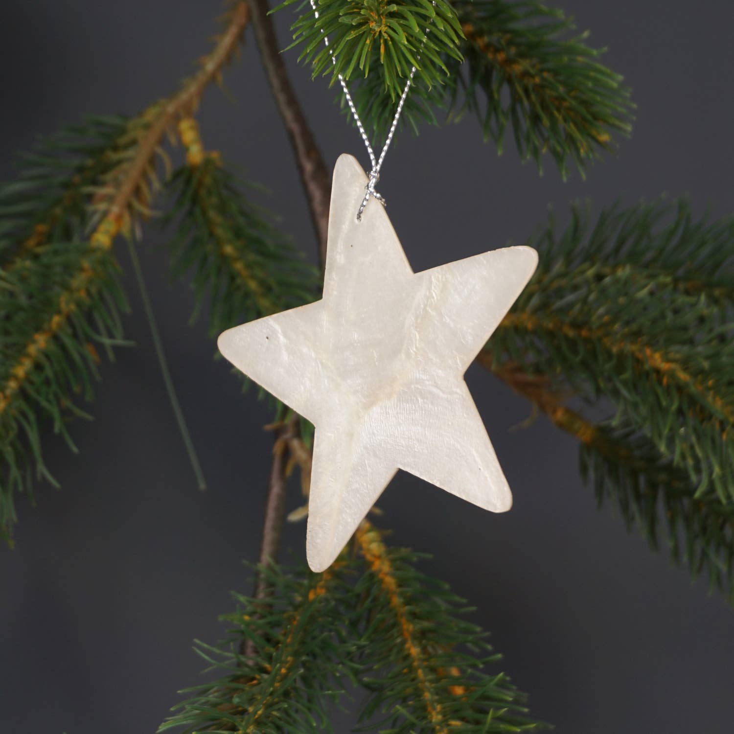 Kinta Stella cappuccio decorativa di Natale: Oro