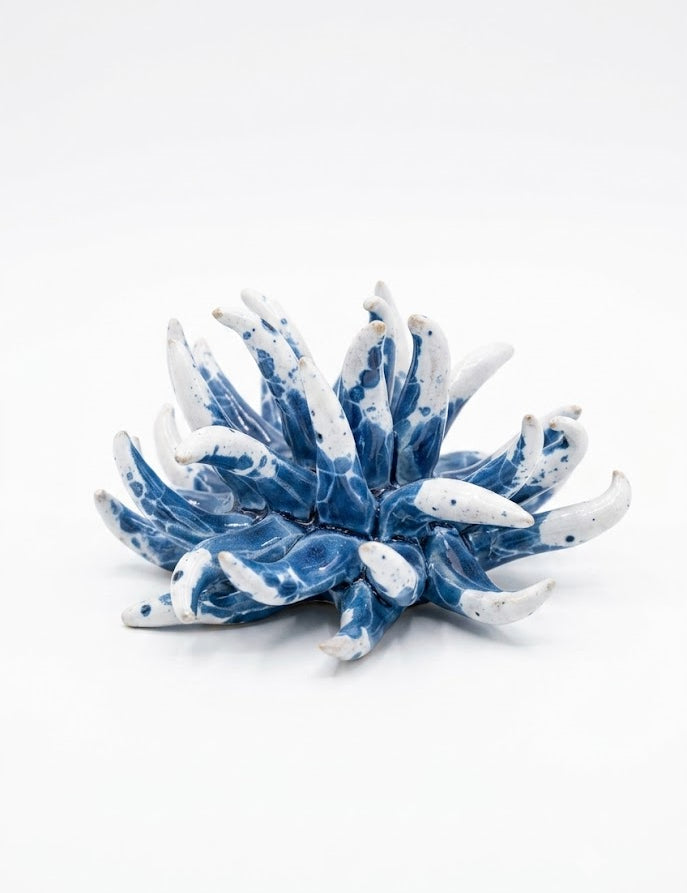ANMN-BLU-GRA.jpg
