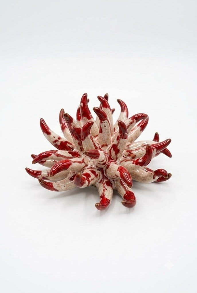 Ceramiche Fratantoni - Anemone rosso piccolo