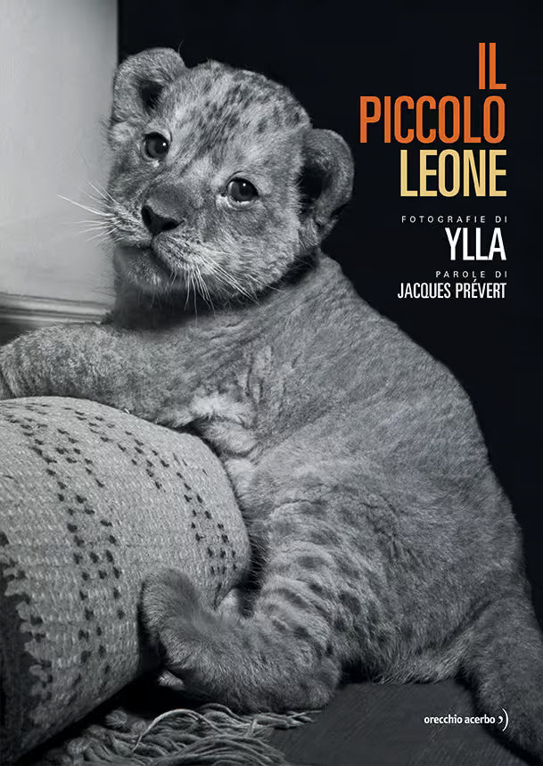 Orecchio Acerbo S.r.l. Il piccolo leone Prévert Jacques
