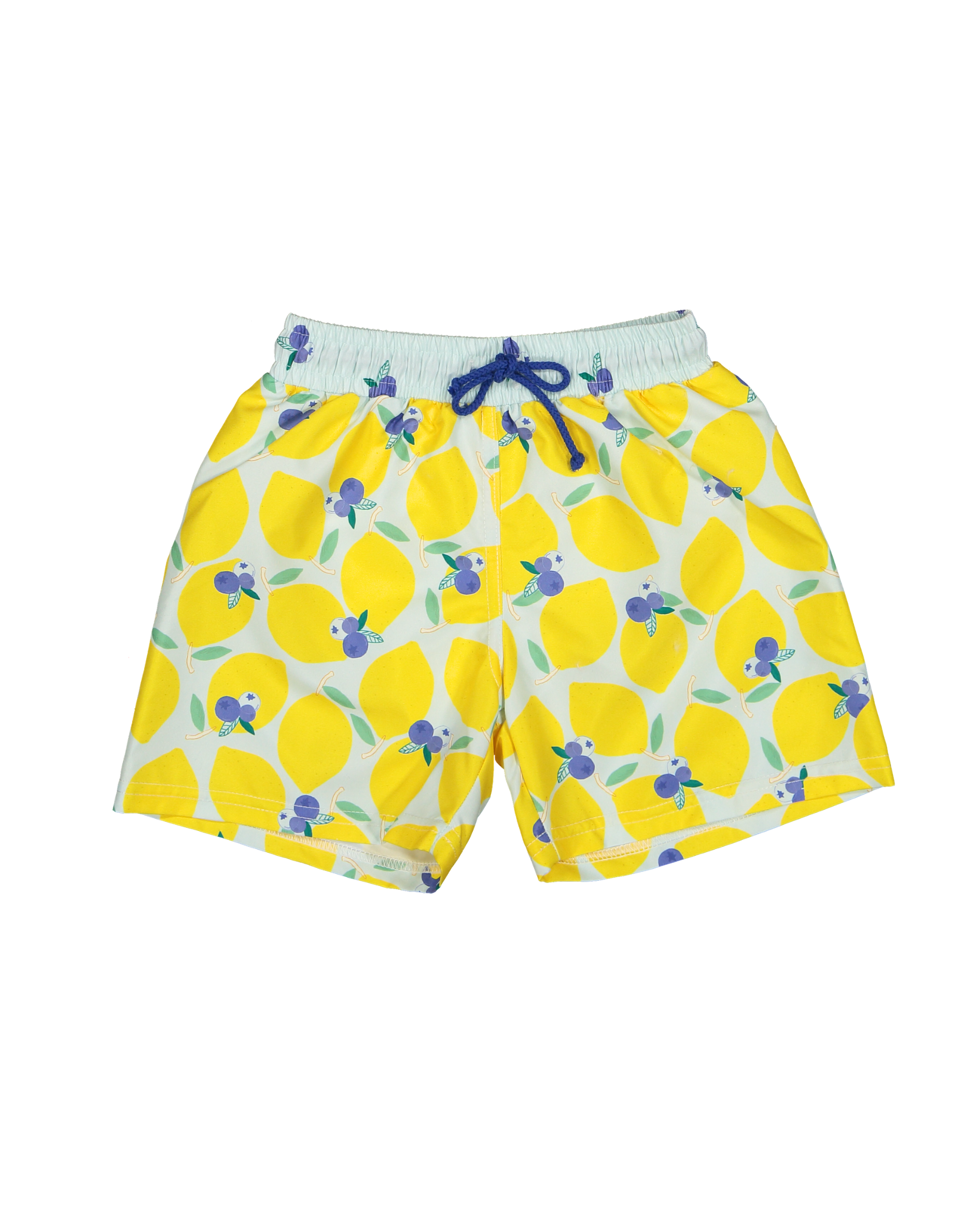 LBR-B-V1-Lemonberry_classic_swim_shorts-a.webp