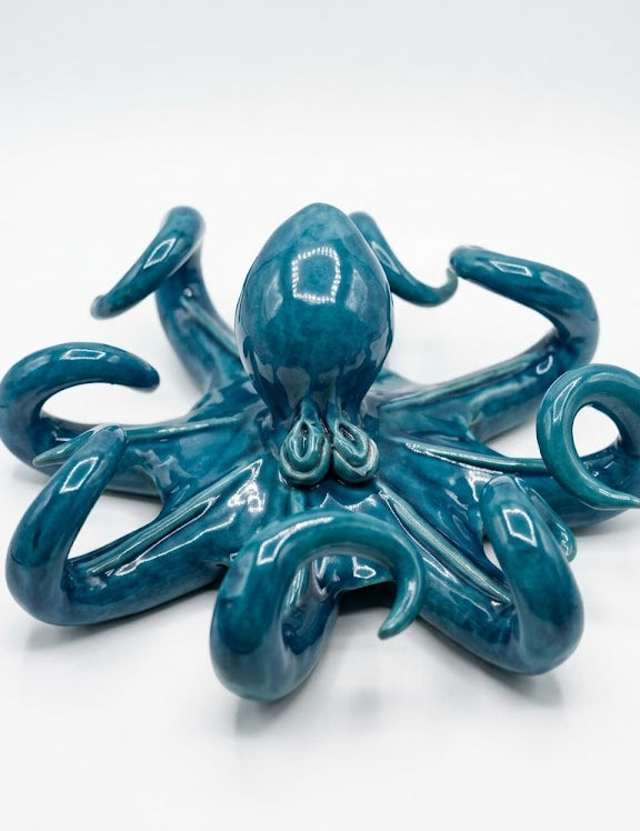 POLP-BLU.jpg