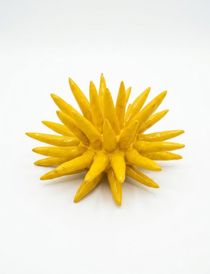 RCC-GIA-GRA.jpg