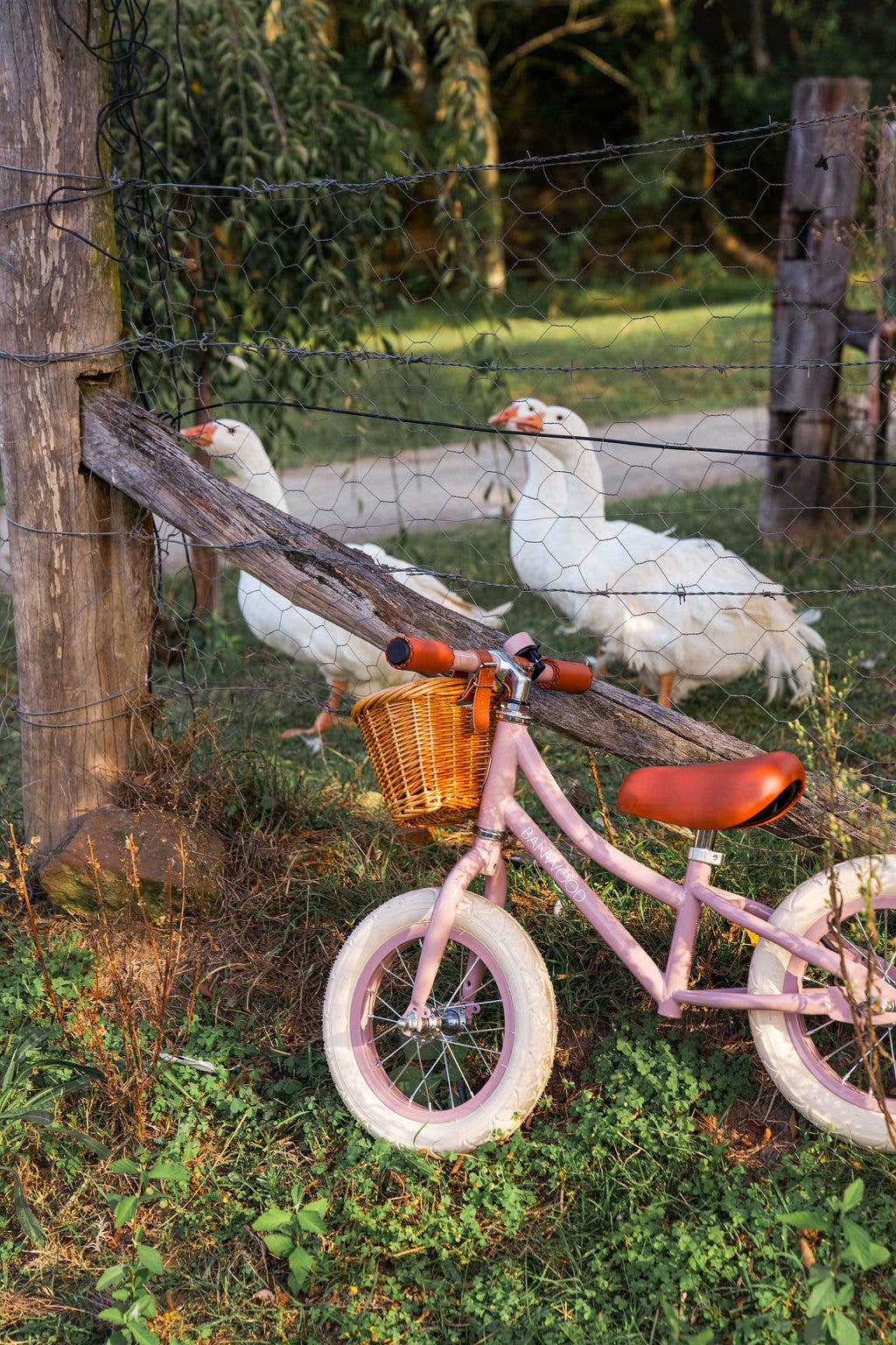 BANWOOD BICICLETTA SENZA PEDALI FIRST GO VINTAGE - ROSA POLVERE