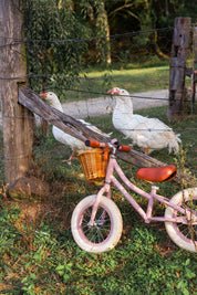 BANWOOD BICICLETTA SENZA PEDALI FIRST GO VINTAGE - ROSA POLVERE