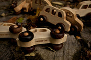 Wooden Story Sp. z o.o. Auto elettrica