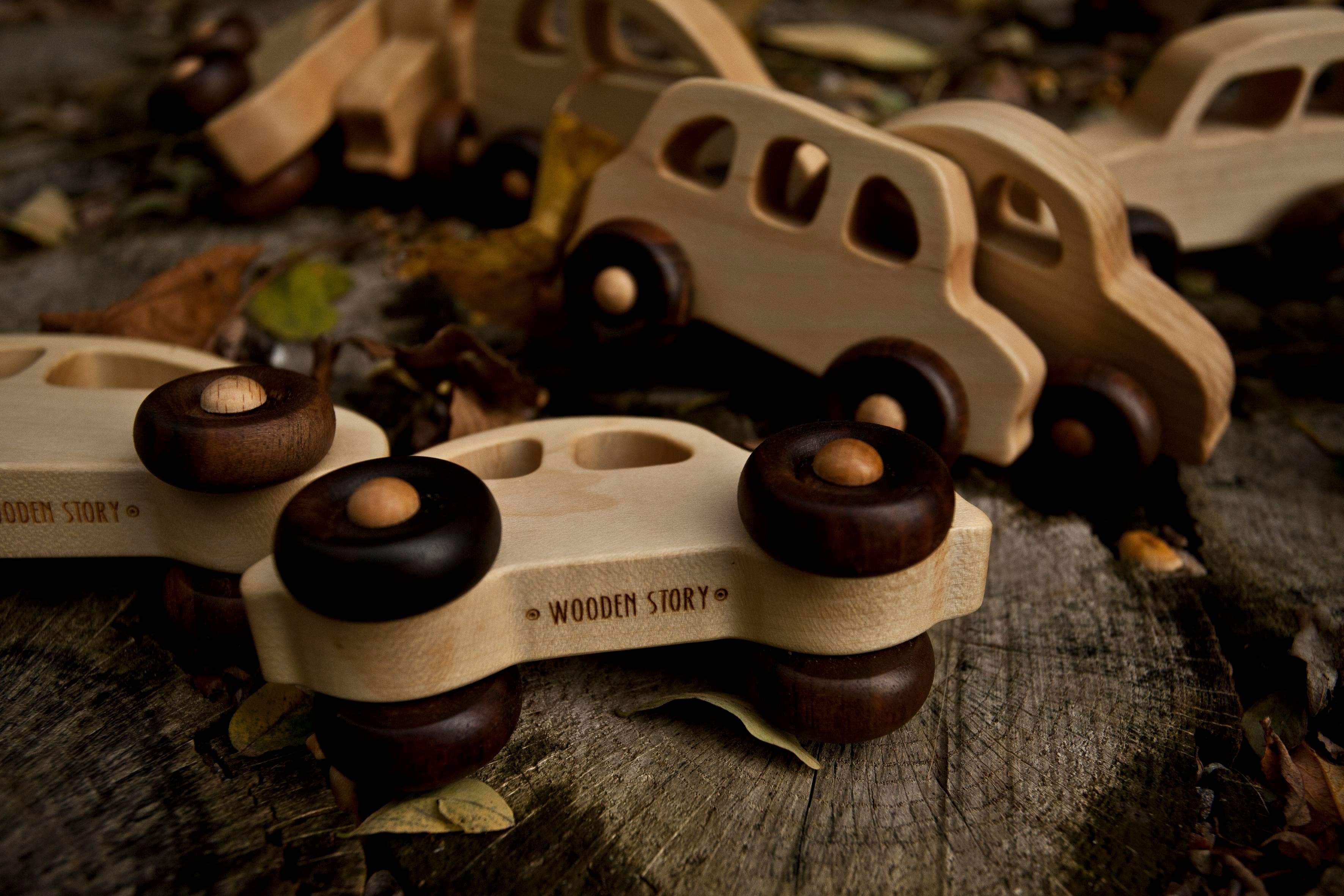Wooden Story Sp. z o.o. Auto ecologica