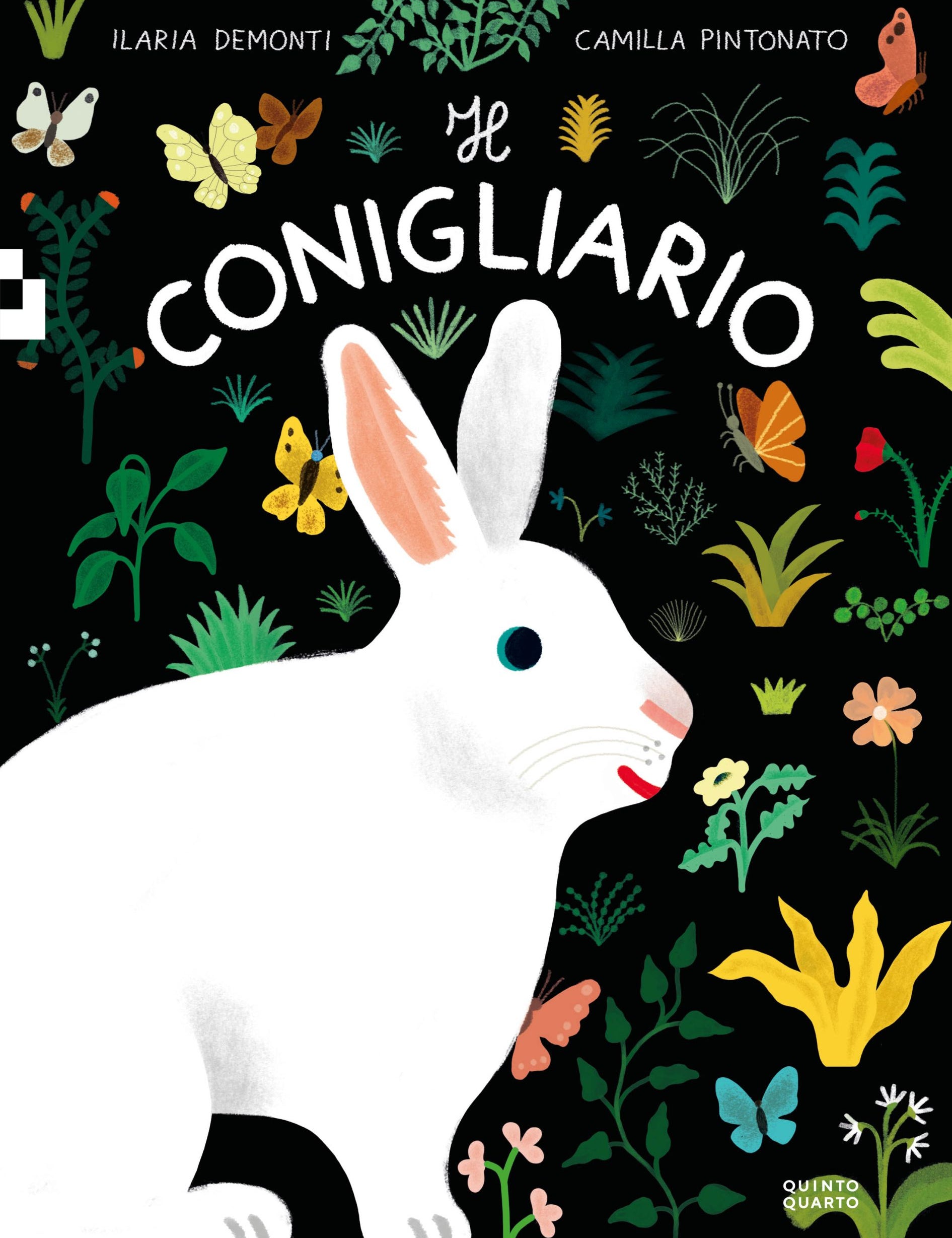 qq_conigliario_cover_bassa-scaled.jpg